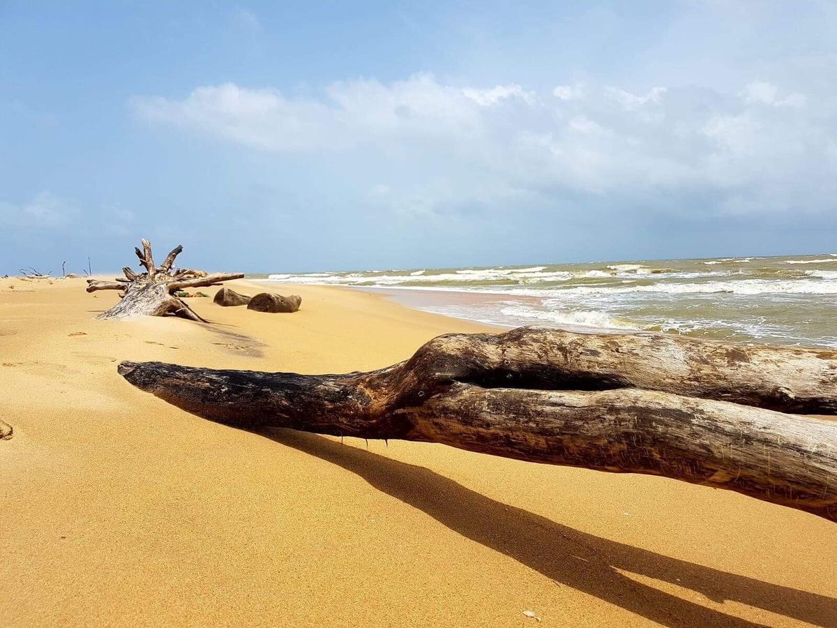 Sun Wind Beach Kalpitiya Kite Resort Exterior photo